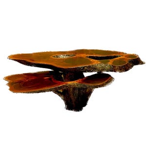 May include: A unique, handcrafted wooden table with a natural, organic design. The table features two tiers of irregularly shaped, reddish-brown wood, supported by a central, textured trunk-like base. The top tier has several circular cutouts.