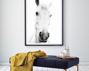 White horse portrait photography,Horse Art,black and white,horse photography wall art,white horse art,horse print,white horse photo