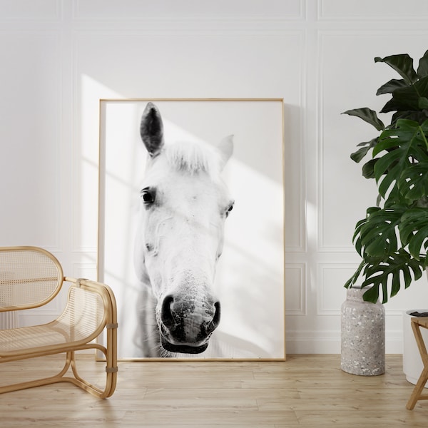 Weißes Pferd Porträt Fotografie,Pferdekunst,schwarz weiß,Pferde Fotografie Wandkunst,weiße Camargue Pferdekunst,Pferdedruck,weißes Pferd Foto