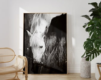 Horse wall art,Horse Print,white Horse print,white horse photography,camargue horse,south of france photography,Provence,Horse wall decor
