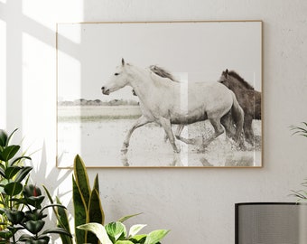 Horse Photography,Camargue Horse Photography,White Horse Photography,Horse Decor, French Horse Art, Photography,Horse Print