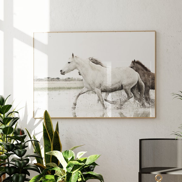 Photographie de cheval, photographie de cheval de Camargue, photographie de cheval blanc, décor de cheval, art cheval Français, photographie, impression de cheval