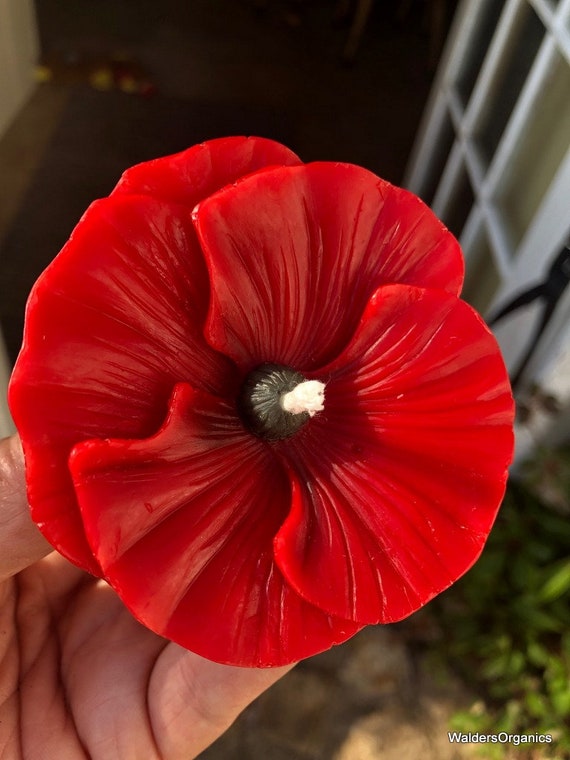 Remembrance poppies to be made entirely from paper in future, Remembrance Day