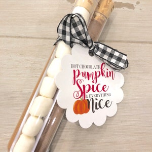 Pumpkin Spice Favors (6), Pumpkin Spice Hot Chocolate Christmas Tube Favors, Christmas Party Favor, Wedding Favors, corporate gifts