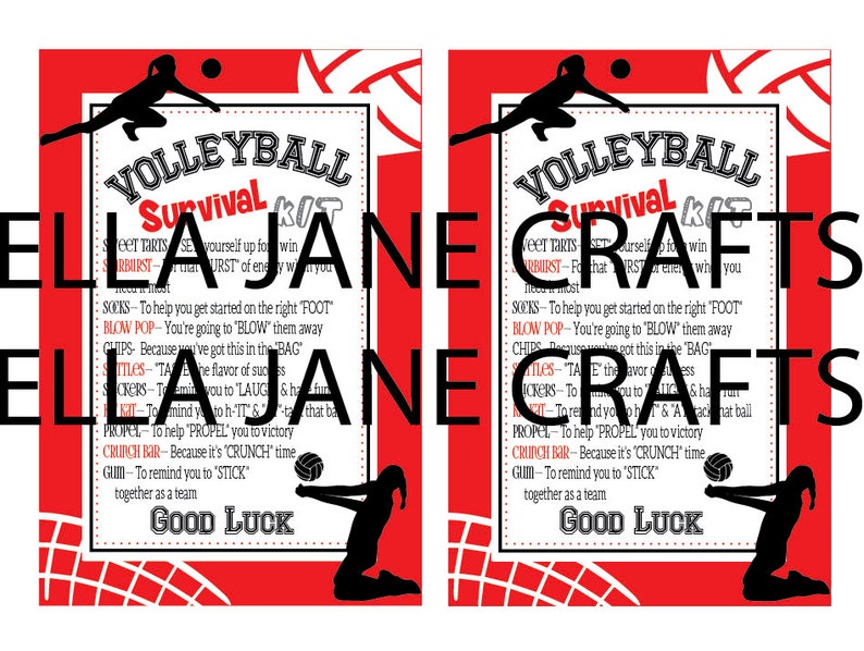 Volleyball Survival Kits Volleyball Team Gifts Survival Kit Etsy