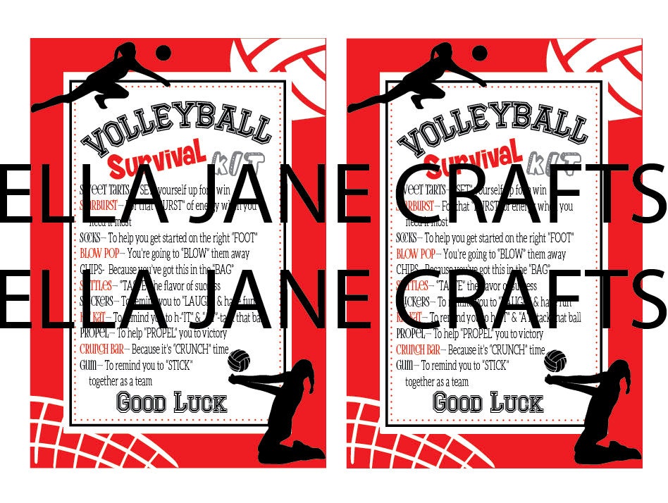 Volleyball Survival Kits Volleyball Team Gifts Survival Kit Etsy