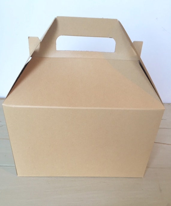 Large Kraft Take Out Containers 5ct