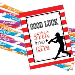 Softball Gift Tags, Softball Team Gift, Softball STIX those HITS, Baseball- PDf CUSTOMIZED Download Stix Those Hits, Team Tag