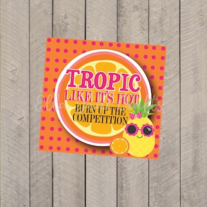 Étiquettes porte-bonheur Cheerleading, étiquettes porte-bonheur Cheer Team, étiquettes cadeaux Orange Tropic - Fichier PDF Étiquettes de compétition Orange Tropic personnalisées