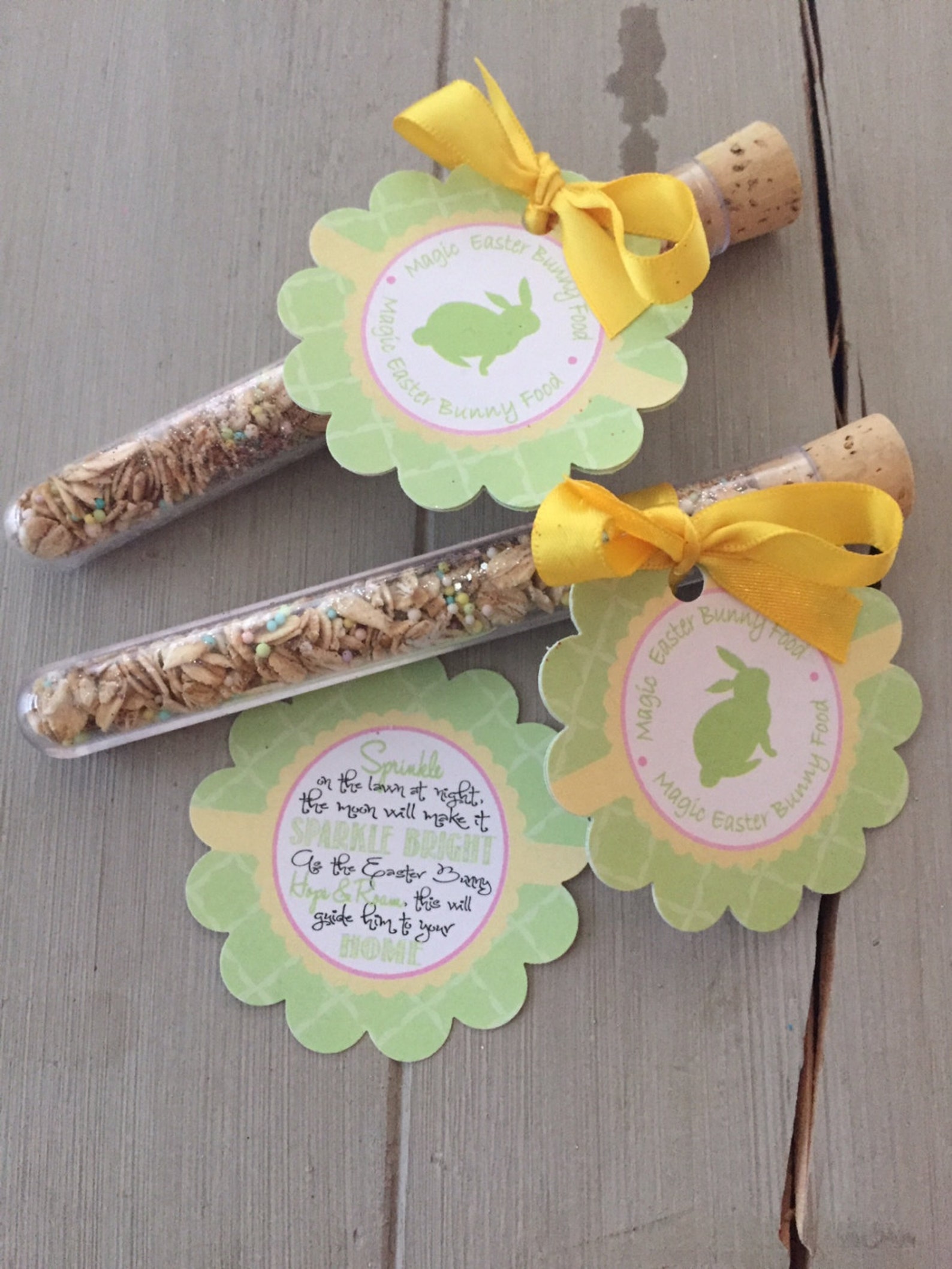 Magic Easter Bunny Food for Kiddos on Easter Eve Easter Bunny Etsy