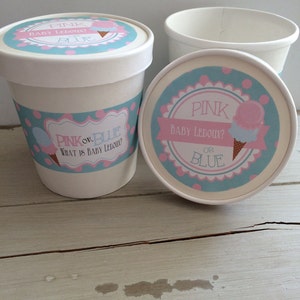 16oz Gender Reveal Hot or Cold Ice Cream Paper Party Favor Cups with Paper Lids and labels(12)
