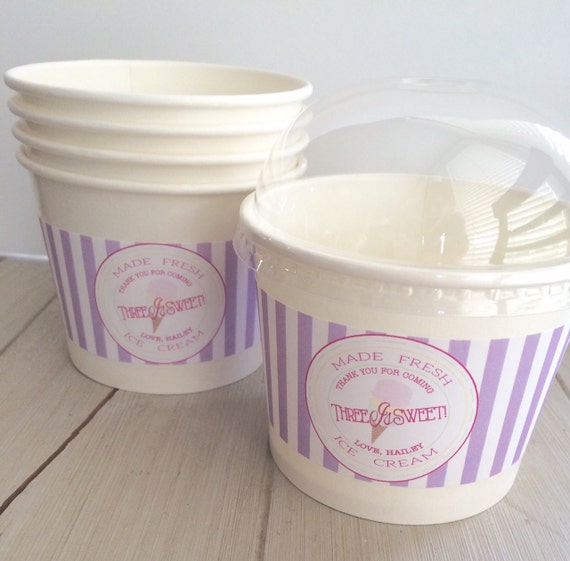Ice Cream Pint Containers with Lids 1 Quart Each 2 Containers Purple