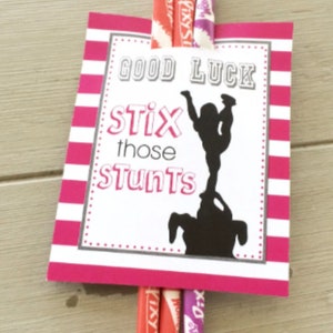 Softball Gift Tags, Softball Team Gift, Softball STIX Those HITS ...