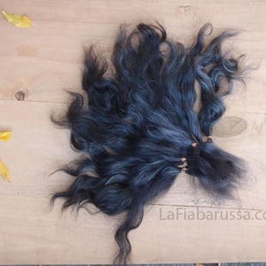 May include: A bundle of dark blue-grey wavy hair, secured with small rubber bands. The hair is arranged on a light brown wooden surface, with a few yellow leaves scattered around. The website address LaFiabarussa.com is visible.