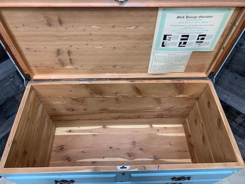 Pu&ograve; includere: Un baule in cedro blu chiaro con interno in legno. Il baule &egrave; aperto e il coperchio &egrave; sollevato. Un certificato di garanzia contro le tarme &egrave; visibile all'interno del baule.