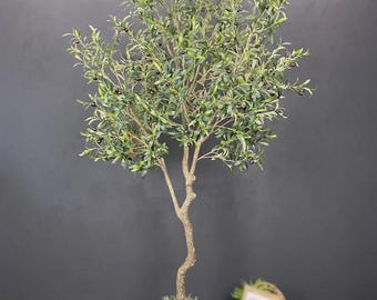May include: An artificial olive tree with a slender, textured brown trunk and green leaves. The tree features small black olives throughout its branches and is planted in a woven, rope-textured pot topped with green moss.