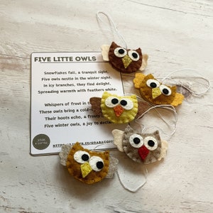 Ensemble varié de chouettes - Ensemble de 5 hiboux en feutre avec une carte de poème - Câlins de poche