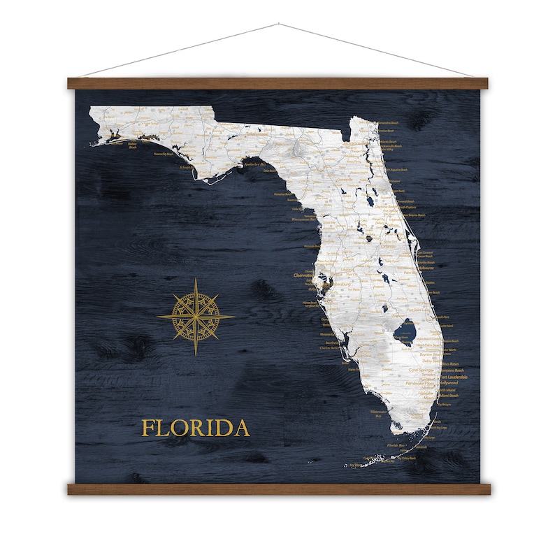 Florida Map, Push Pin Map, Detailed FL State, Canvas Map of Florida ...