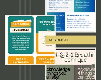 May include: A digital bundle of educational infographics featuring mental health resources. The cards display text including 4 Breathing Exercises to Calm Anxiety, Box Breathing, 4-7-8 Breathing, Grounding Techniques, and 5-4-3-2-1 Breathir Technique.