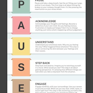 May include: A vertical infographic titled PAUSE with five coloured tabs labelled P, A, U, S, and E. Each letter corresponds to a step: Pause, Acknowledge, Understand, Step Back, and Engage, with descriptive text for each. The bottom right reads Counselling Crib.