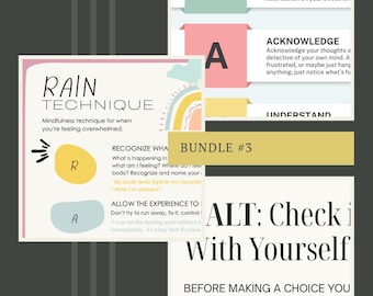 May include: A digital bundle of three educational posters featuring the RAIN technique, PAUSE acronym, and HALT check. The designs use pastel colors, minimalist typography, and graphic elements to explain mindfulness and self-regulation strategies.