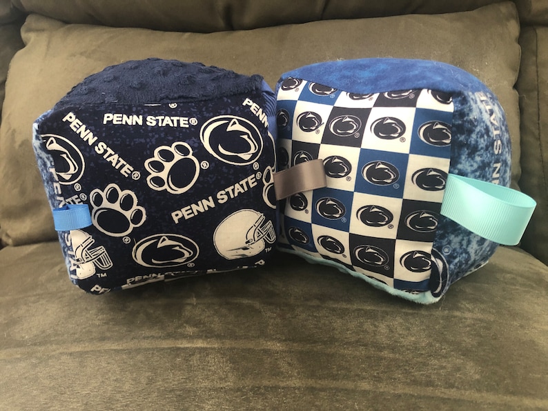May include: Two blue and white Penn State Nittany Lions themed throw pillows. One pillow has a checkered pattern with the Nittany Lion logo. The other pillow has a blue background with the Nittany Lion logo, paw prints, and the words "Penn State".