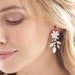 Floral Bridal Earrings,Crystal Wedding Earrings,Floral Jewelry,Crystal Jewelry,Rhinestone Earrings,Dangle Earrings, Bridal ~JE-4156 