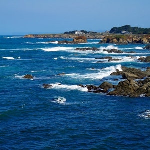 Photograph of the view at the Mendocino Botanical Gardens, Mendocino, CA
