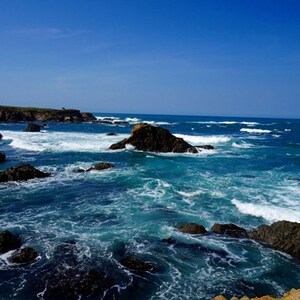 Photograph of the view at the Mendocino Botanical Gardens, Mendocino, CA 3