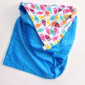 Personalized Owl Minky Baby Blanket: Crib Size (36x45)