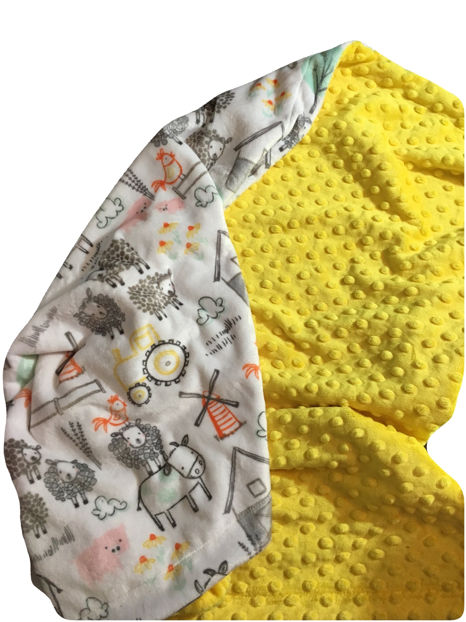 Personalized Minky Baby Blanket Farm Animal Blanket Gender Etsy