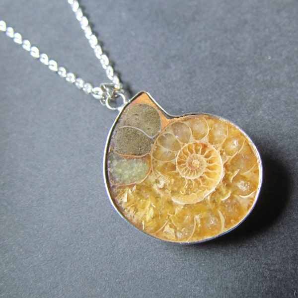 Ammonite Necklace - Dinosaur Age Jewelry - Fossil Pendant - Caramel Color Ammonite - Fossil Necklace -