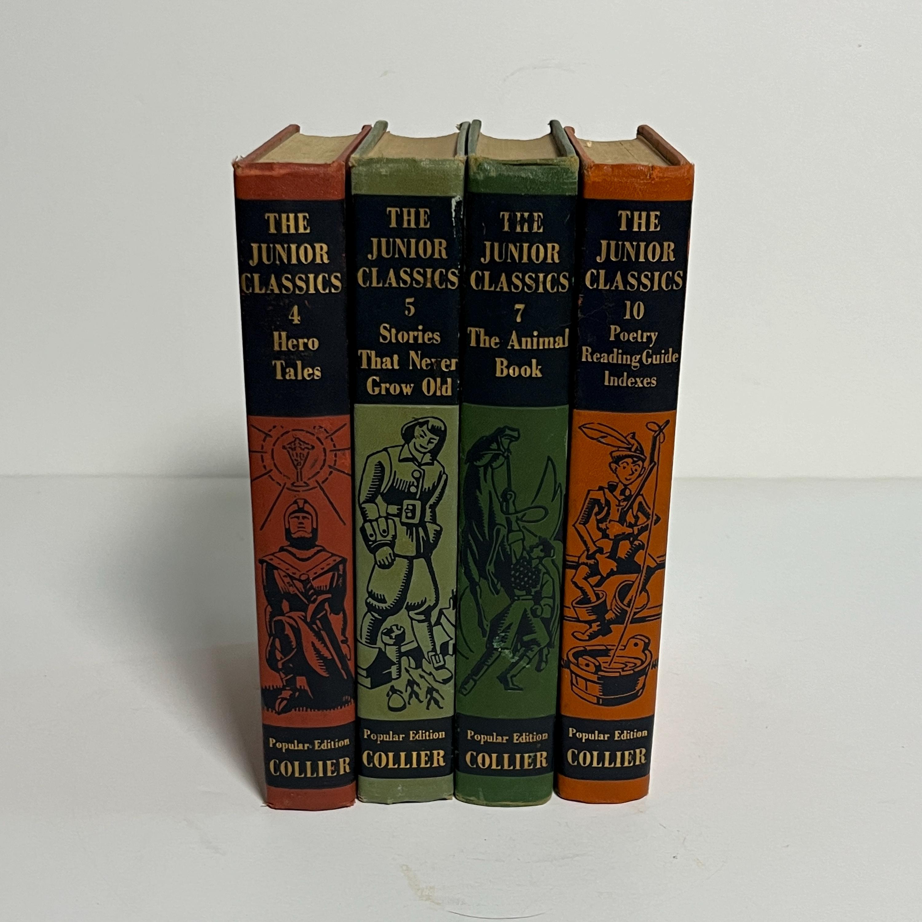 ビンテージ書籍セット il_fullxfull.6686322068_dhmf.jpg