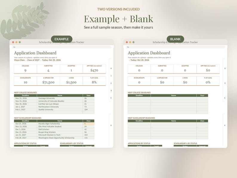 College Application Tracker Google Sheets, Scholarship Tracker Spreadsheet, Senior Year Planner, Class of 2027 Deadline Template image 8