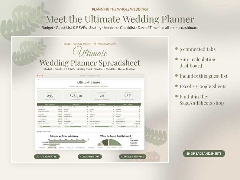 Wedding Guest List Template Google Sheets, RSVP Tracker Spreadsheet, Guest List Excel, Meal Choice Count, Address List image 10