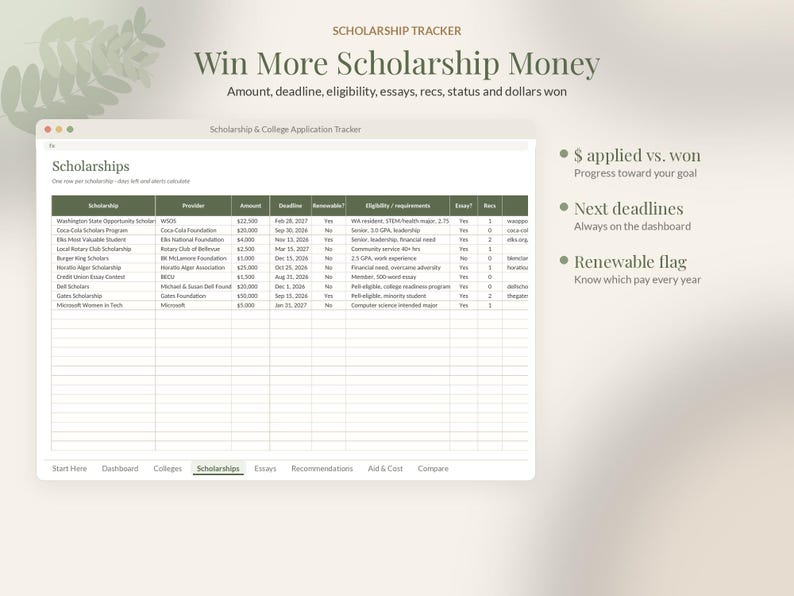 College Application Tracker Google Sheets, Scholarship Tracker Spreadsheet, Senior Year Planner, Class of 2027 Deadline Template image 3