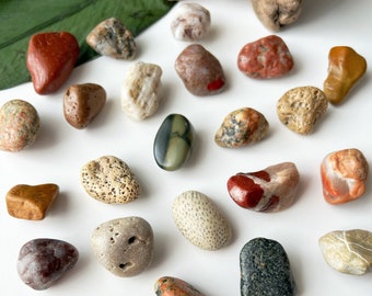 Beach Stone Refrigerator Magnets, Great Lakes Rocks - Set of 4