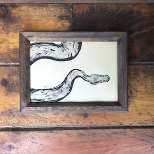 May include: A framed black and white illustration of a snake on a cream background. The frame is dark brown wood.