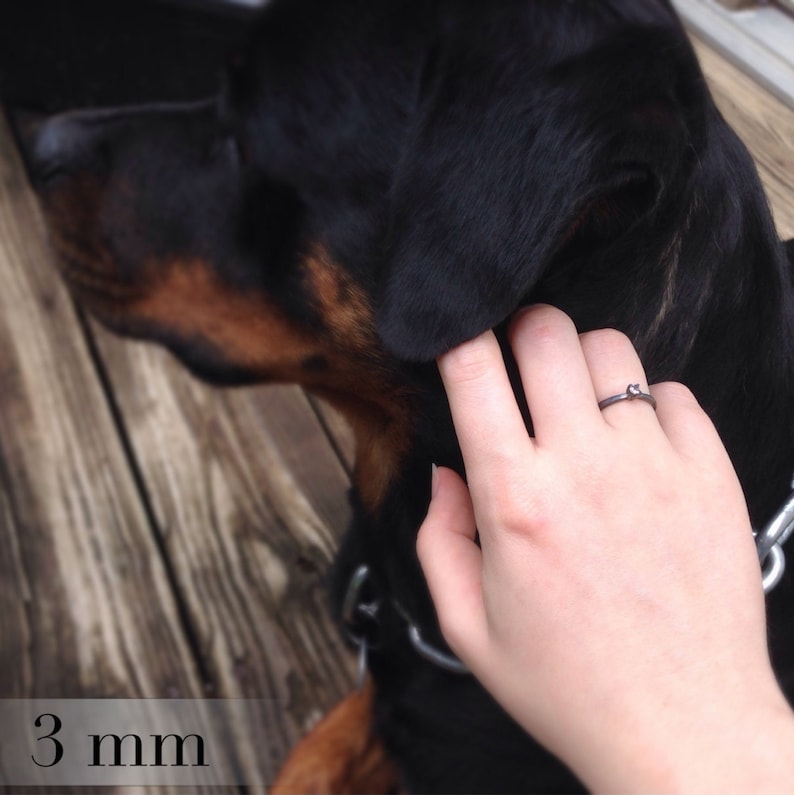 May include: A close-up of a person's hand wearing a thin silver ring with a small round stone. The ring is 3 mm wide. The person's hand is resting on the back of a black dog.