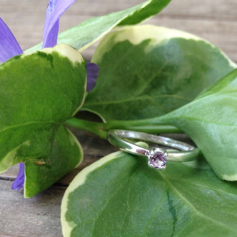 May include: A silver ring with a small, round, purple gemstone set in the center. The ring is resting on a green leaf with white variegation.