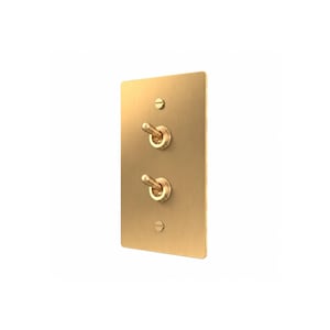 May include: A rectangular brushed brass light switch plate featuring two vertical toggle switches and two matching flathead screws positioned at the top and bottom of the metallic faceplate for secure wall mounting.
