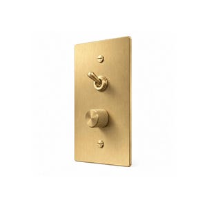 May include: A rectangular brushed brass light switch plate featuring a single toggle switch and a circular knurled dimmer knob. The plate is secured with two flat-head screws, one positioned above the toggle and one below the dimmer knob.