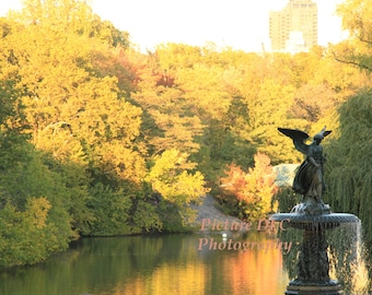 Fine Art Photography - Central Park's Bethesda Fountain and boat pond.  Fall, New York City