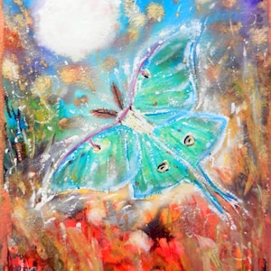 Luna Moth - Blank Greeting Card, Luna Moth, Moon