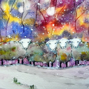 Herdwicks in the Snow - Carte de voeux vierge paysage recadrée, mouton Herdwick, neige, hiver