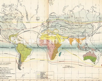 1893 Diversity of Insects and Spiders Worldwide at the end of the 19th Century Original Antique Statistical Map