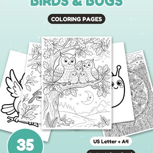May include: A collection of colouring pages titled BIRDS & BUGS COLOURING PAGES. The central page features a black and white line drawing of an owl family on an oak tree branch under a crescent moon. Includes 35 pages in US Letter and A4 sizes.