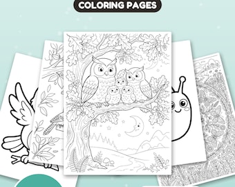 Peut inclure: Un ensemble de pages à colorier intitulé BIRDS & BUGS COLORING PAGES. La page centrale présente un dessin au trait noir et blanc d'une famille de hiboux sur une branche de chêne sous un croissant de lune. Inclut 35 pages en format A4.