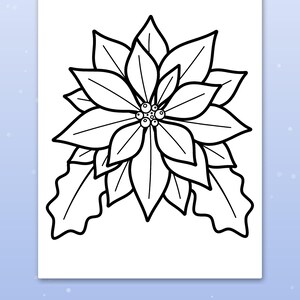 Puede incluir: Una p&aacute;gina para colorear en blanco y negro que muestra una flor de pascua con p&eacute;talos puntiagudos y un grupo de peque&ntilde;as bayas en el centro, acompa&ntilde;ada de dos hojas de acebo en la base. El dise&ntilde;o est&aacute; delineado con l&iacute;neas gruesas.