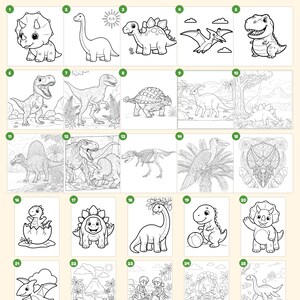 May include: A collection of 25 dinosaur-themed coloring pages featuring various prehistoric creatures, including a triceratops, stegosaurus, and pterodactyl, with the text Everything you get: 25 pages and This book belongs to.